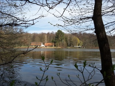 Holiday apartment Hegemühle Forest Guesthouse - Outdoor photo 5