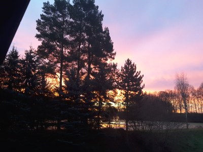 Holiday apartment Hegemühle Forest Guesthouse - Environment photo 18