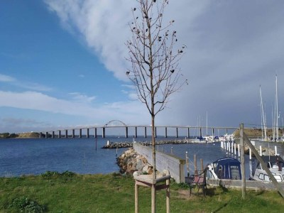 Holiday house 4 person holiday home in Rudkøbing-By Traum - Outdoor photo 5