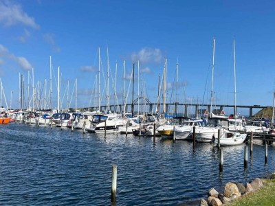 Holiday house 4 person holiday home in Rudkøbing-By Traum - Outdoor photo 15