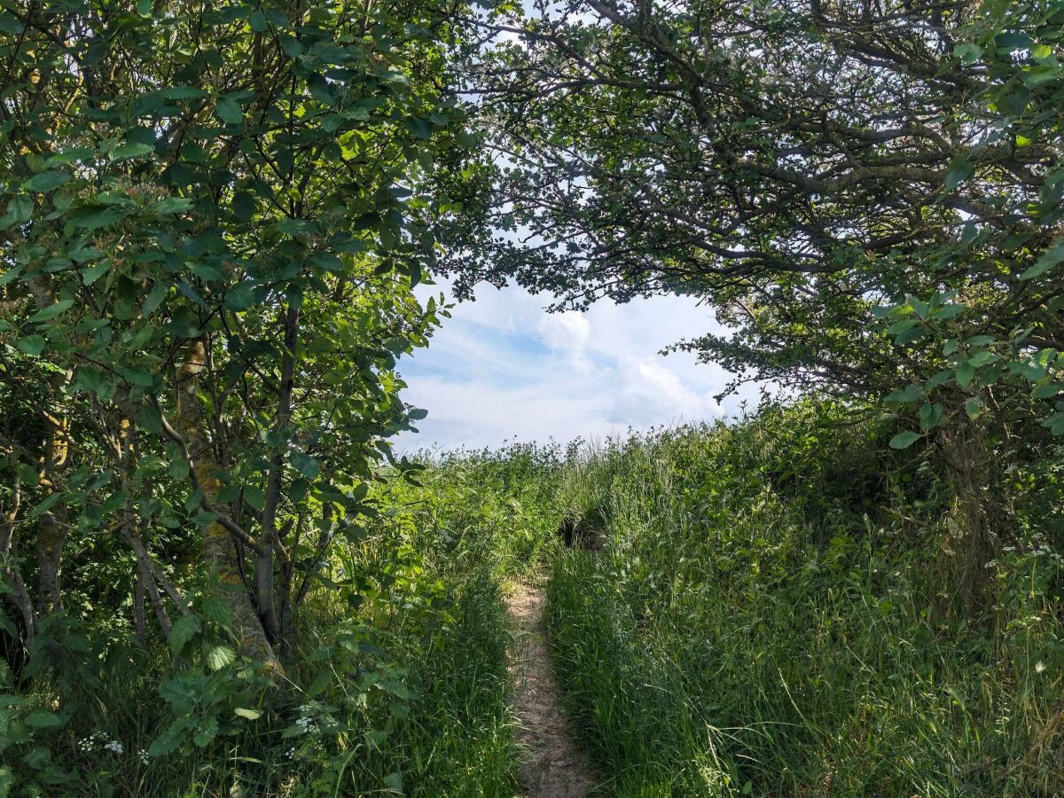 Holiday house 9 Personen Ferienhaus in Humble-By Traum - Outdoor photo 4