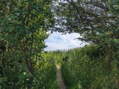 Holiday house 9 Personen Ferienhaus in Humble-By Traum - Outdoor photo 4