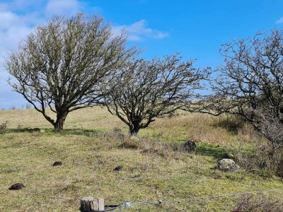 Holiday house 9 Personen Ferienhaus in Humble-By Traum - Outdoor photo 8