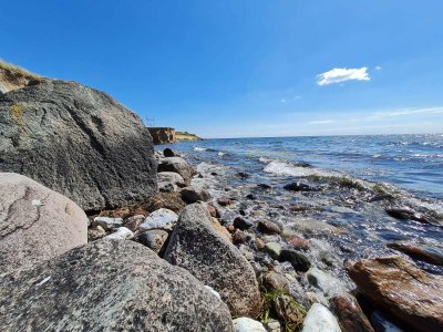 Holiday house 9 Personen Ferienhaus in Humble-By Traum - Outdoor photo 10