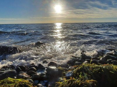 Holiday house 9 Personen Ferienhaus in Humble-By Traum - Outdoor photo 11