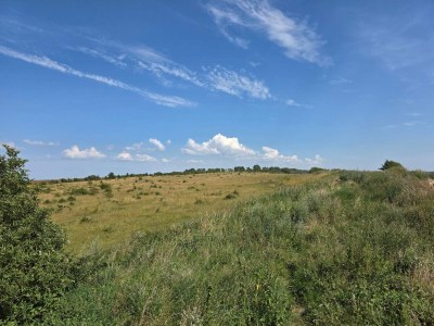 Holiday house 9 Personen Ferienhaus in Humble-By Traum - Outdoor photo 20