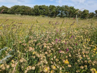 Holiday house 9 Personen Ferienhaus in Humble-By Traum - Outdoor photo 21