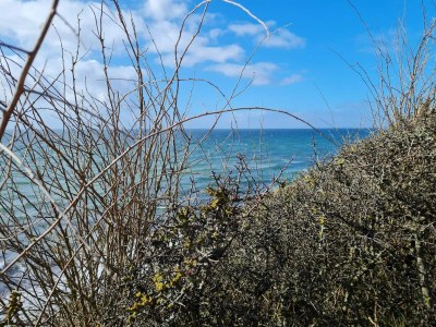 Holiday house 9 Personen Ferienhaus in Humble-By Traum - Outdoor photo 23