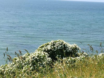 Holiday house 9 Personen Ferienhaus in Humble-By Traum - Outdoor photo 28