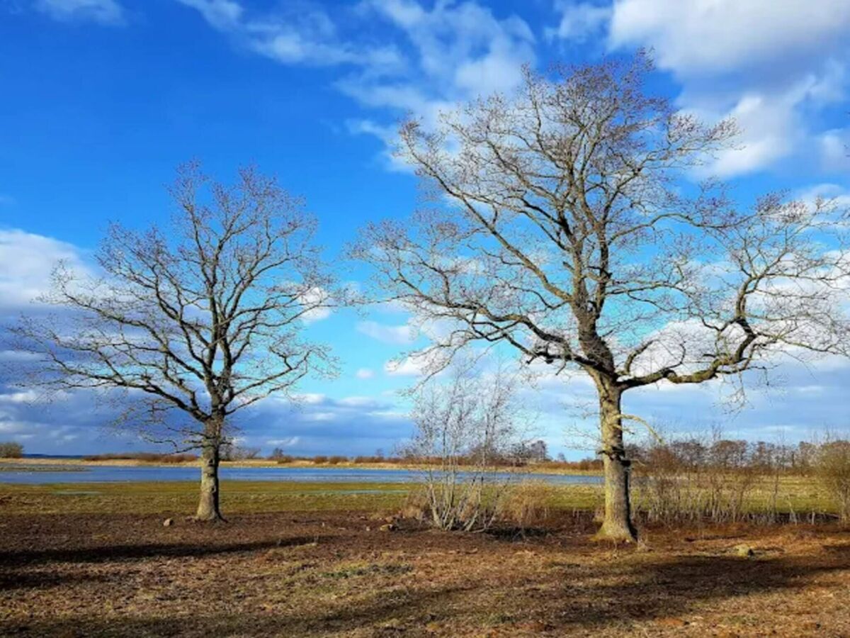 Holiday house 5 person holiday home in Bogense-By Traum - Outdoor photo 4