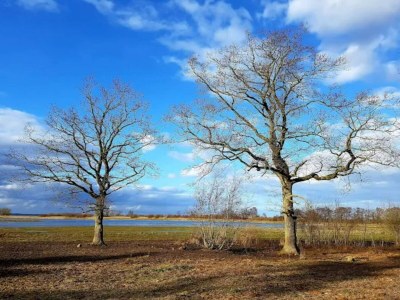 Holiday house 5 person holiday home in Bogense-By Traum - Outdoor photo 4