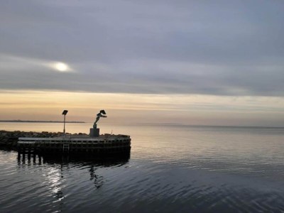 Holiday house 5 person holiday home in Bogense-By Traum - Outdoor photo 37