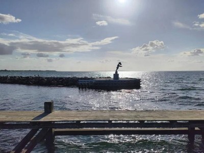 Holiday house 5 person holiday home in Bogense-By Traum - Outdoor photo 42