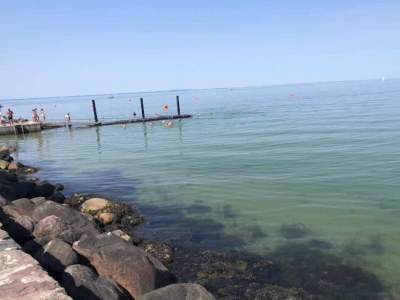 Holiday house 5 person holiday home in Bogense-By Traum - Outdoor photo 48