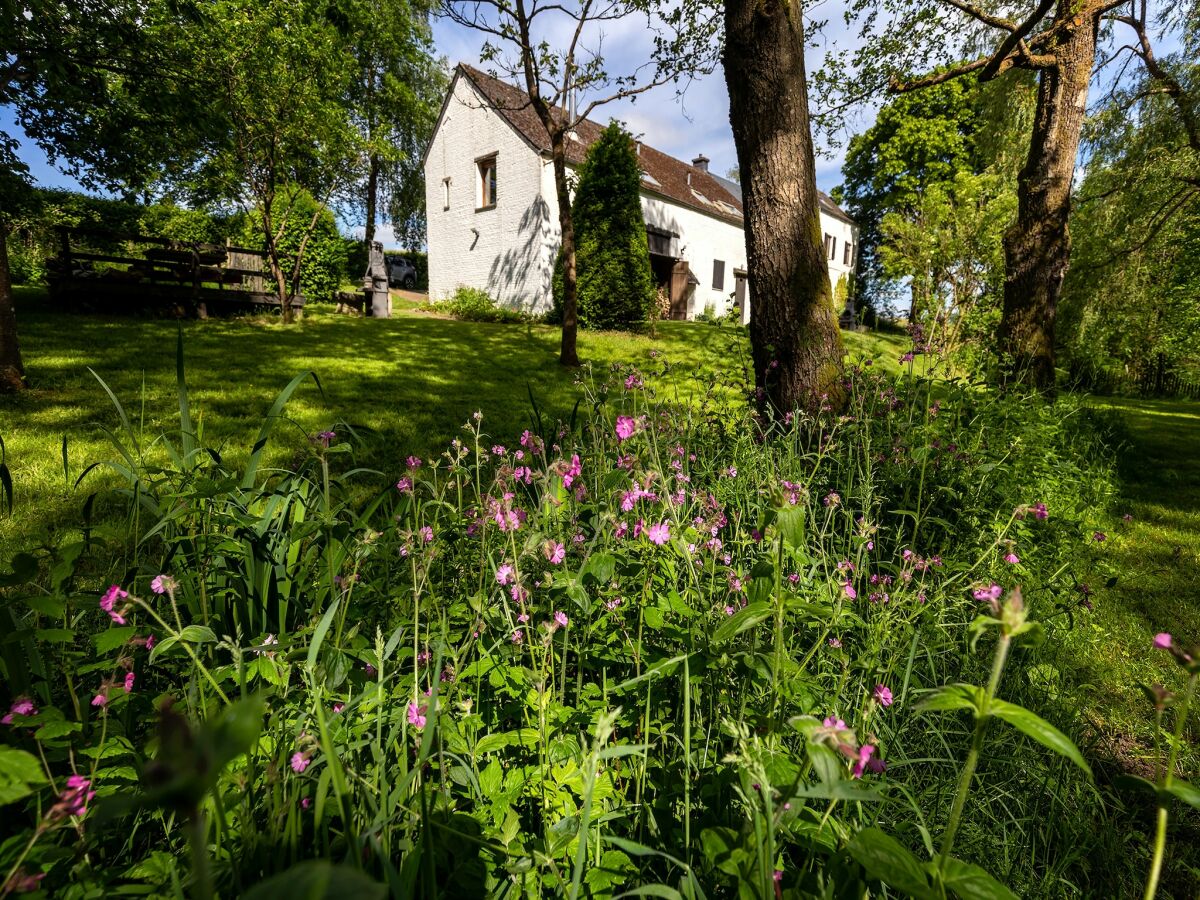Farmhouse Schönes Bauernhaus in Sivry-Rance mit Garten - Outdoor photo 2