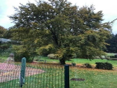 Farmhouse Schönes Bauernhaus in Sivry-Rance mit Garten - Environment photo 31