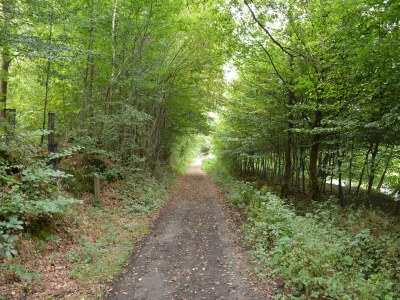 Farmhouse Schönes Bauernhaus in Sivry-Rance mit Garten - Environment photo 32