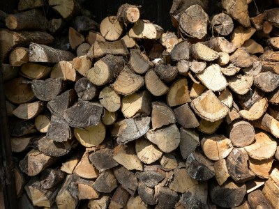 Farmhouse Schönes Bauernhaus in Sivry-Rance mit Garten - Outdoor photo 35