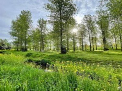 Apartment Maasmechelen Duplex Retreat - Environment photo 36