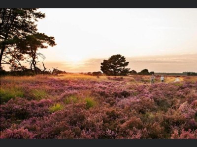 Apartment Maasmechelen Duplex Retreat - Environment photo 37