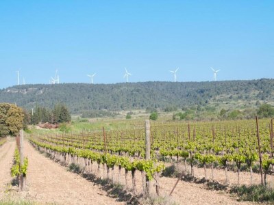 Holiday house Modern Comfort in Minervois - Environment photo 25