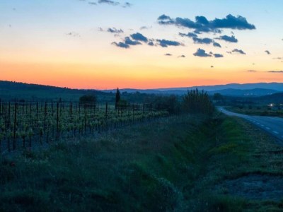 Holiday house Modern Comfort in Minervois - Environment photo 32
