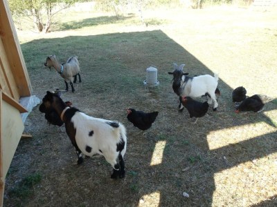 Apartment Wohnung im Tarn mit Pool und Whirlpool - Outdoor photo 24