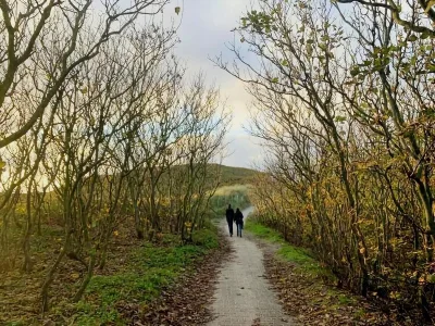 Holiday house Charming lodging near the beach in De Koog - Environment photo 13