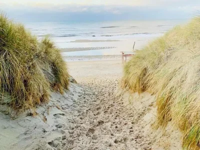 Holiday house Charming lodging near the beach in De Koog - Environment photo 18