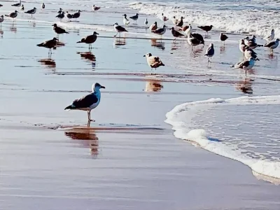 Holiday house Charming lodging near the beach in De Koog - Environment photo 21