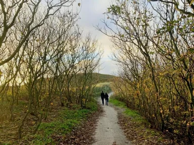 Holiday house Charming lodging near the beach in De Koog - Environment photo 23