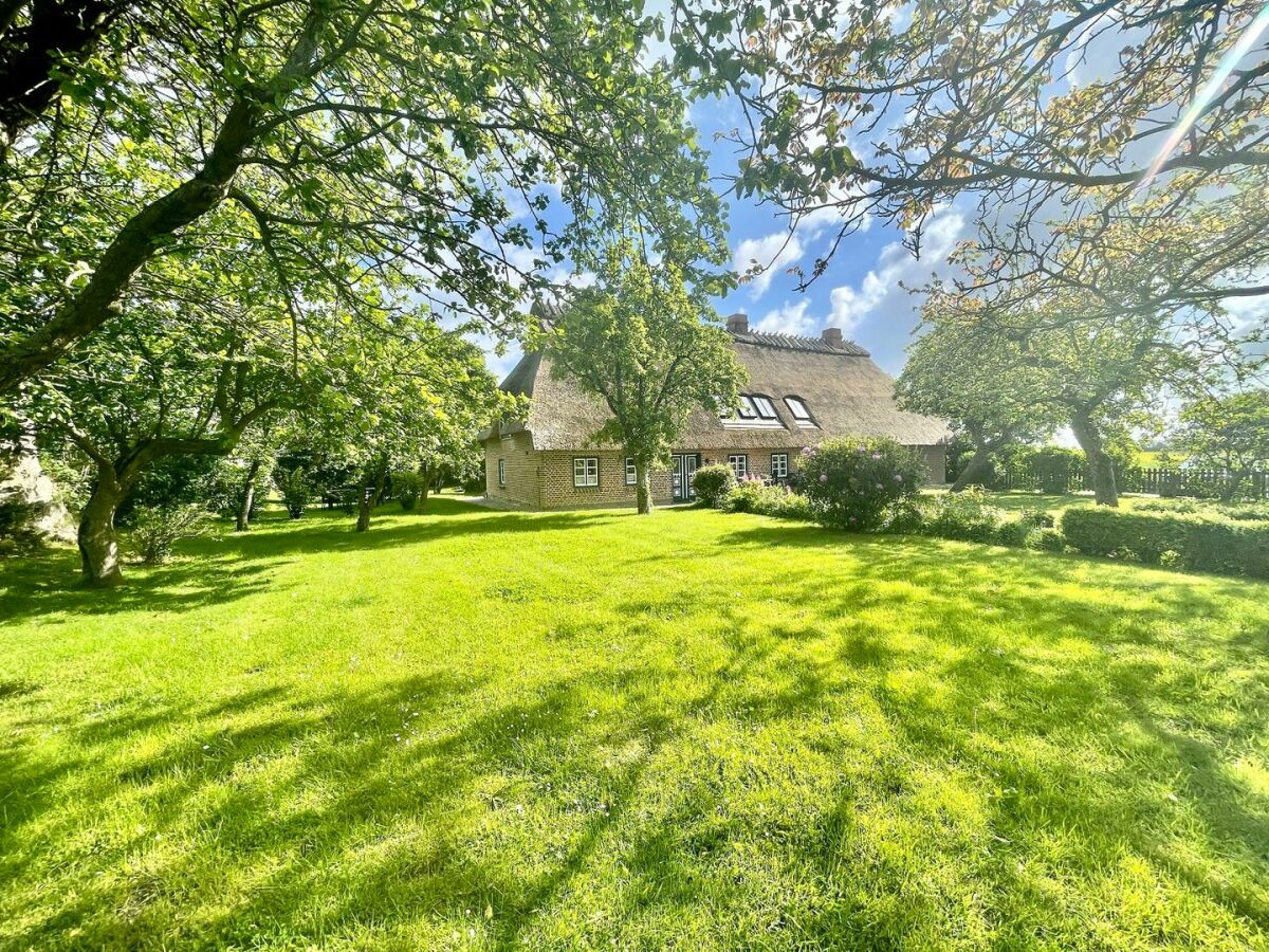 Holiday apartment Ferienwohnung West Hasselberg - Outdoor photo 3