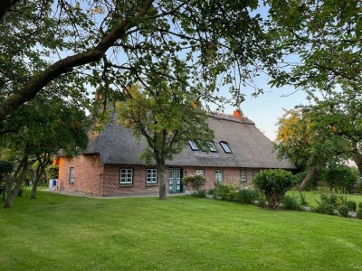 Holiday apartment Ferienwohnung West Hasselberg - Outdoor photo 4