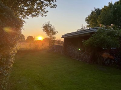 Holiday apartment Ferienwohnung West Hasselberg - Outdoor photo 8