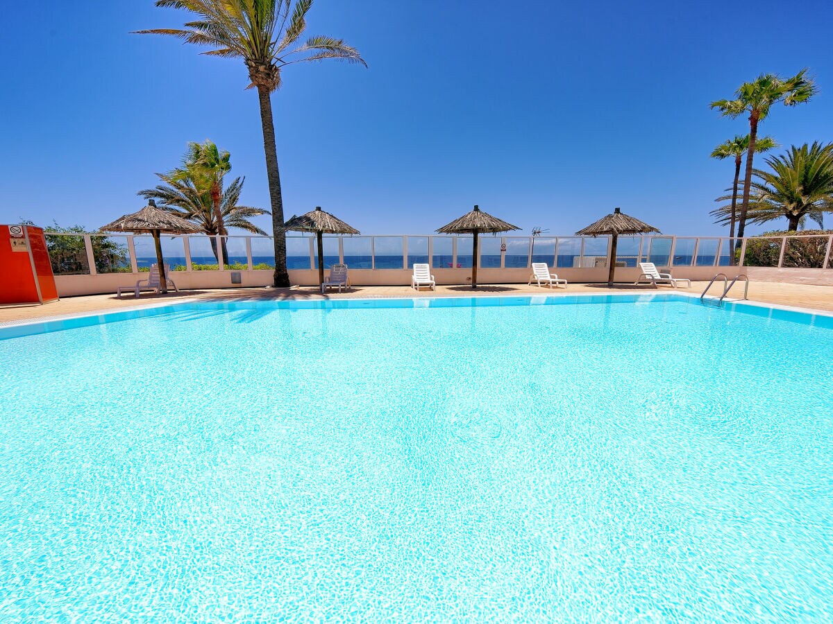 Apartment with terrace, sea view, and heated pool - Outdoor photo 3