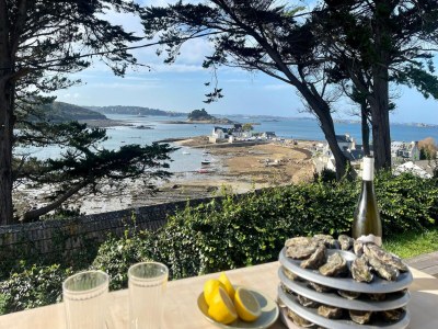 Holiday house Ferienhaus in Terenez mit Meerblick in Morlaix - Holiday house