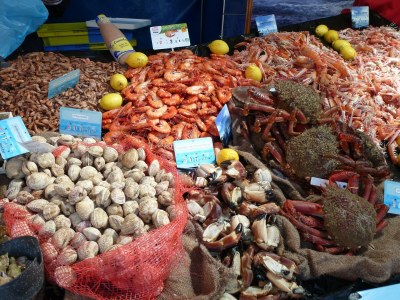 Holiday house Ferienhaus in Terenez mit Meerblick - Environment photo 23