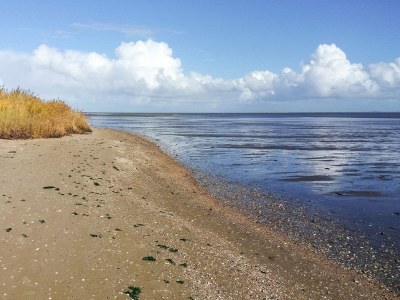 Holiday house Luxury Retreat in Romo - By Traum Ferienwohnungen - Outdoor photo 19
