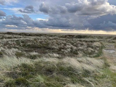 Holiday house Luxury Spa Retreat in Romo - By Traum Ferienwohnungen - Outdoor photo 56