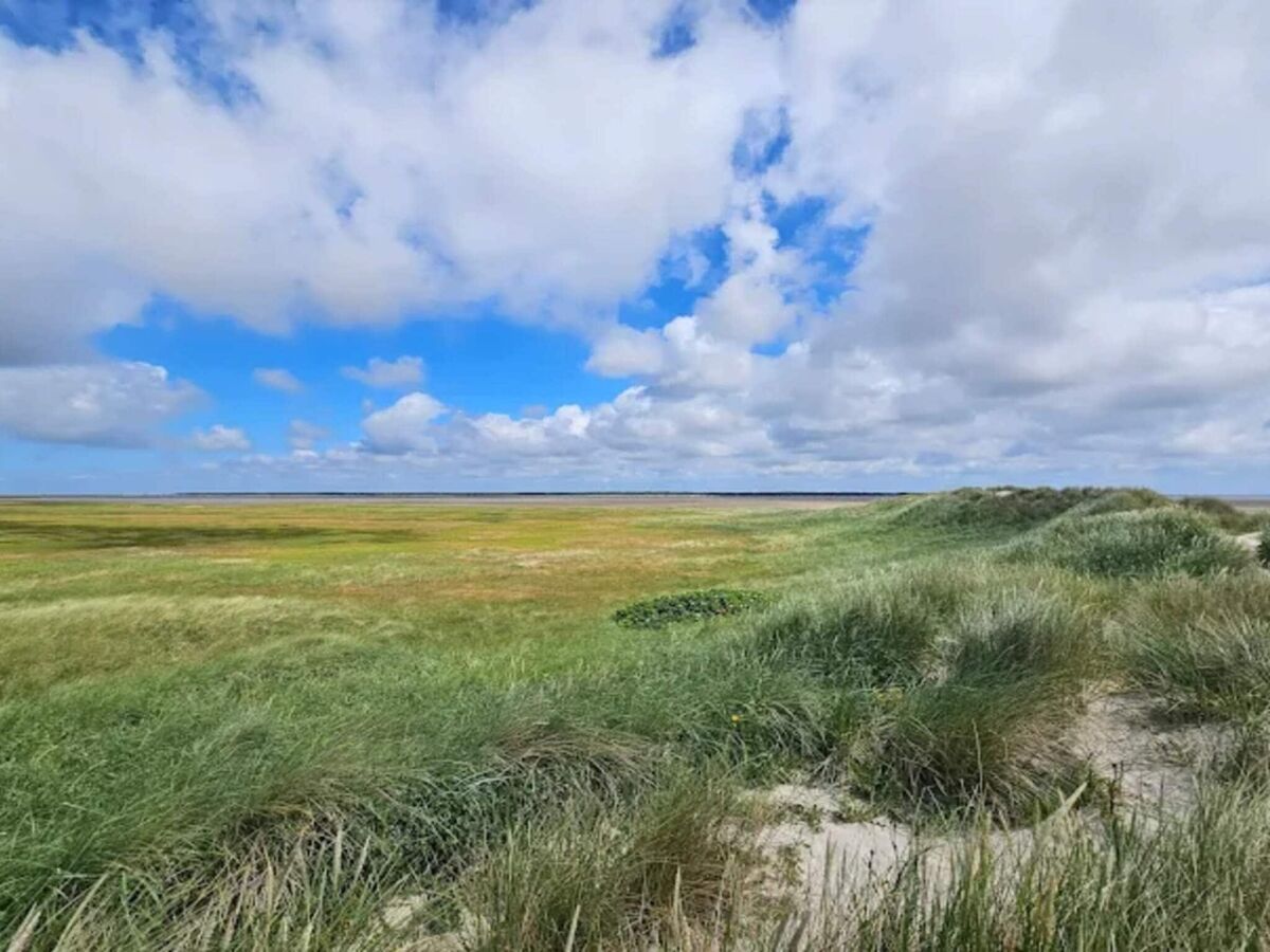 Holiday house Luxus-Ruckzug in Romo -- By Traum Ferienwohnungen - Outdoor photo 3