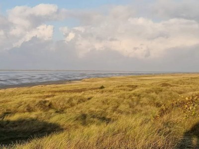 Holiday house Luxus-Ruckzug in Romo -- By Traum Ferienwohnungen - Outdoor photo 22