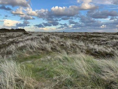 Holiday house Luxus-Ruckzug in Romo -- By Traum Ferienwohnungen - Outdoor photo 23