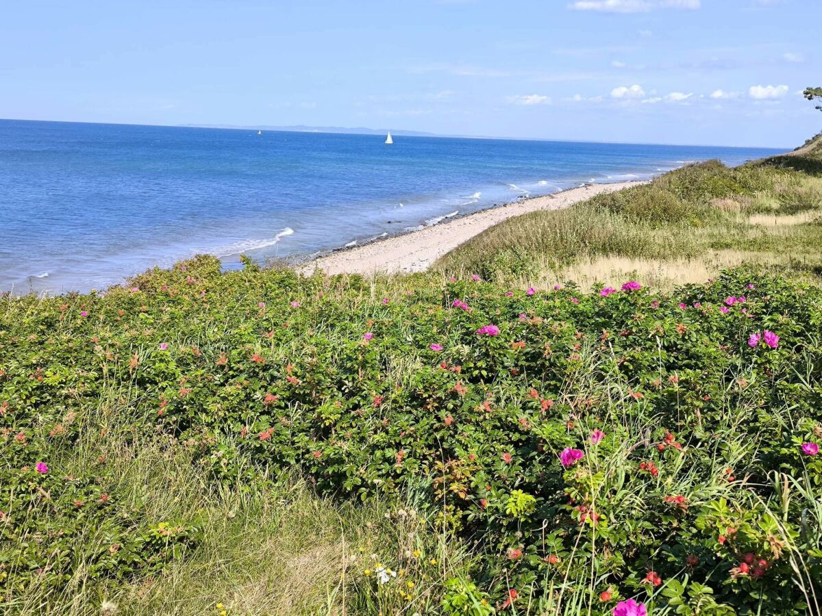 Holiday house 5 Personen Ferienhaus in Gilleleje-By Traum - Outdoor photo 5