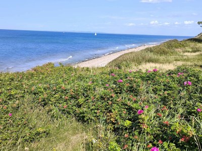 Holiday house 5 Personen Ferienhaus in Gilleleje-By Traum - Outdoor photo 5