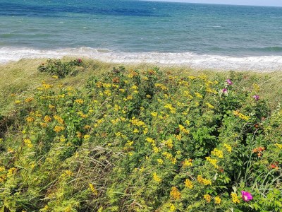 Holiday house 5 Personen Ferienhaus in Gilleleje-By Traum - Outdoor photo 8