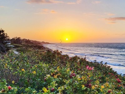 Holiday house 5 Personen Ferienhaus in Gilleleje-By Traum - Outdoor photo 26