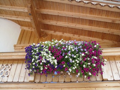 Apartment lech suite - Outdoor photo 13