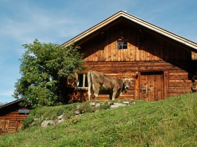 Apartment lech suite - Outdoor photo 25