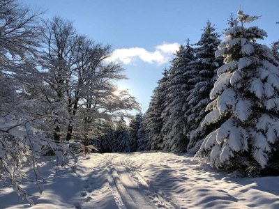 Apartment Ferienwohnung im Sauerland - Environment photo 32