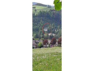 Holiday house Ferienhaus bei Winterberg mit Sauna in High Sauerland - Holiday house